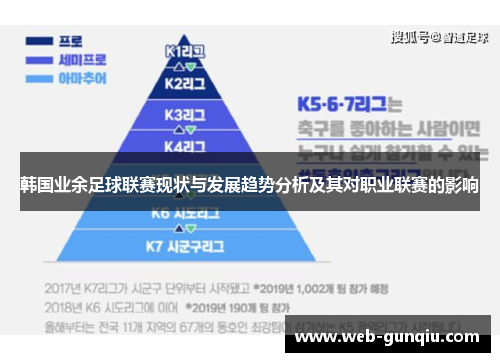 韩国业余足球联赛现状与发展趋势分析及其对职业联赛的影响